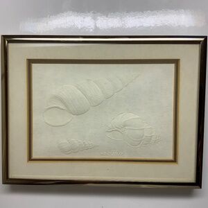 “Wentletraps Sea shells”. Framed embossed paper print. Vtg 1978